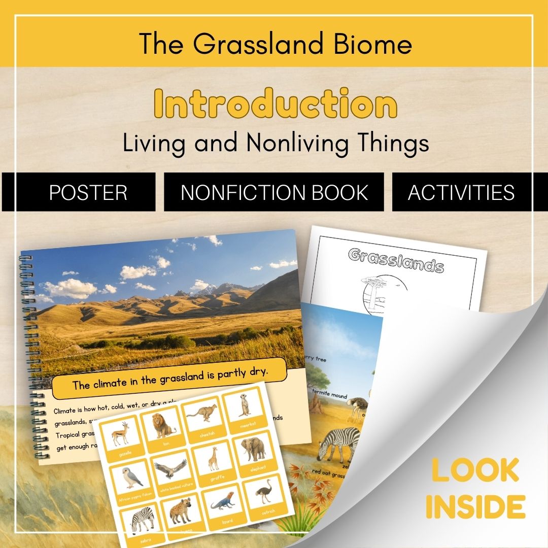 Thumbnails- Grassland Biome Look Inside- Introduction