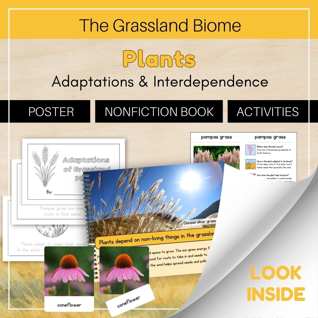 Thumbnails- Grassland Biome Look Inside- Plants