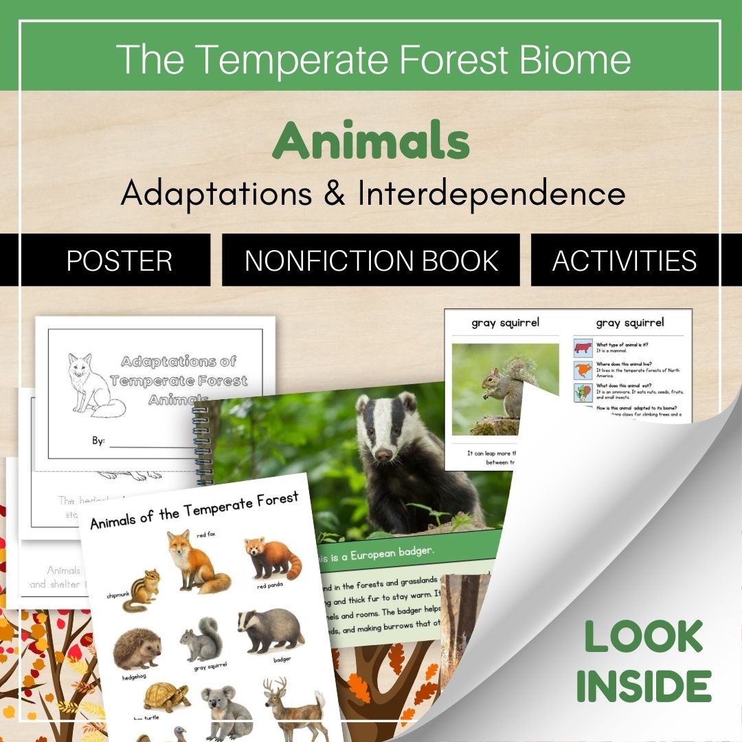 Thumbnails- Temperate Forest Biome Look Inside- Animals