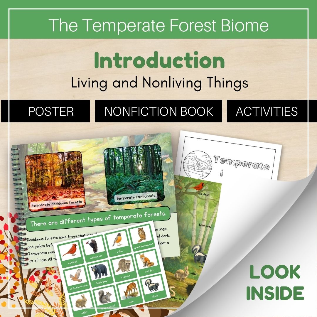 Thumbnails- Temperate Forest Biome Look Inside- Introduction