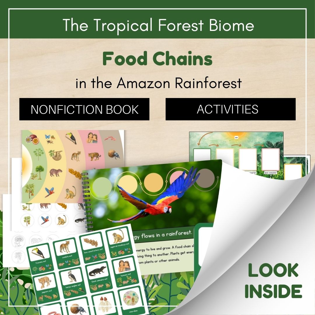 Thumbnails- Tropical Forest Biome Look Inside- Food Chains