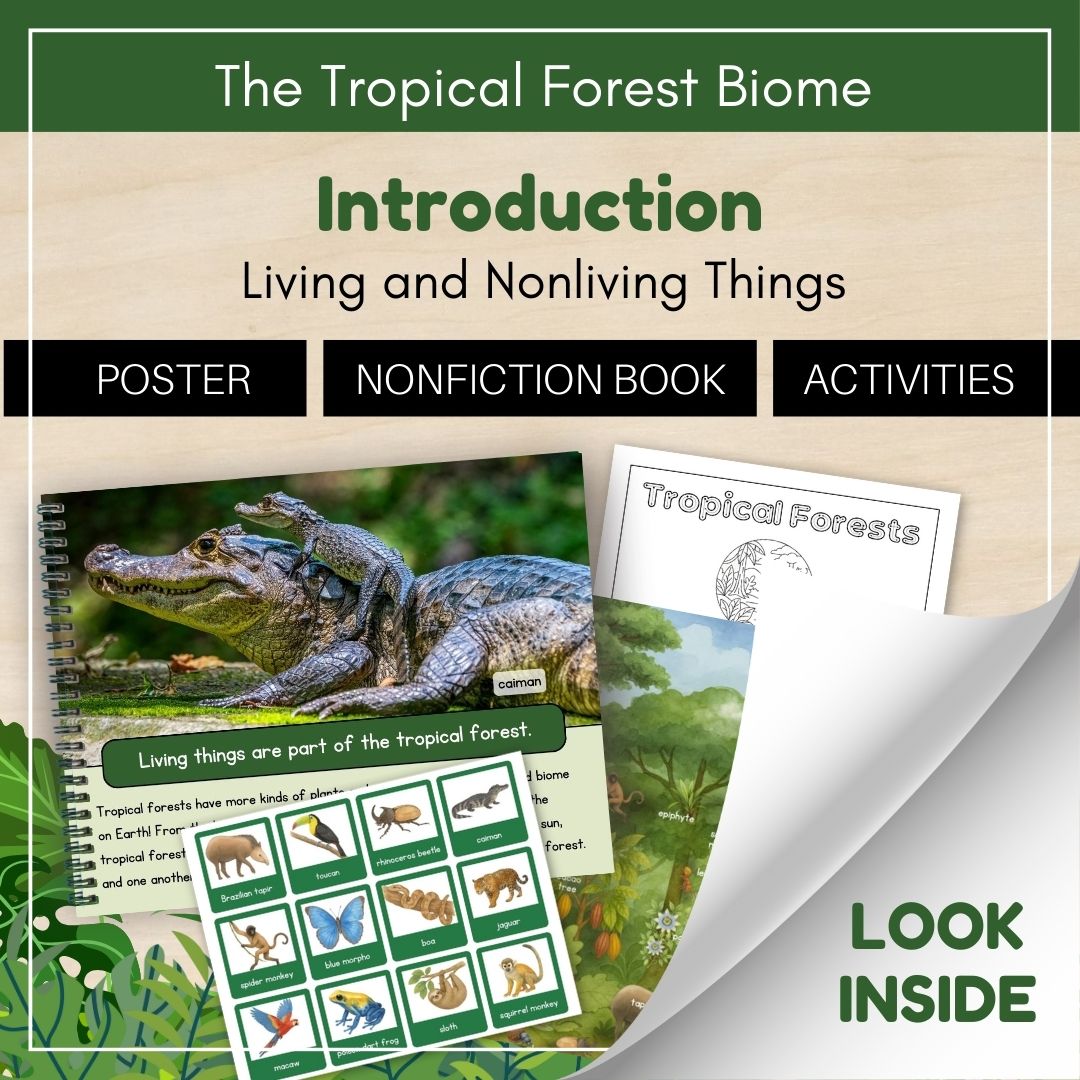 Thumbnails- Tropical Forest Biome Look Inside- Introduction