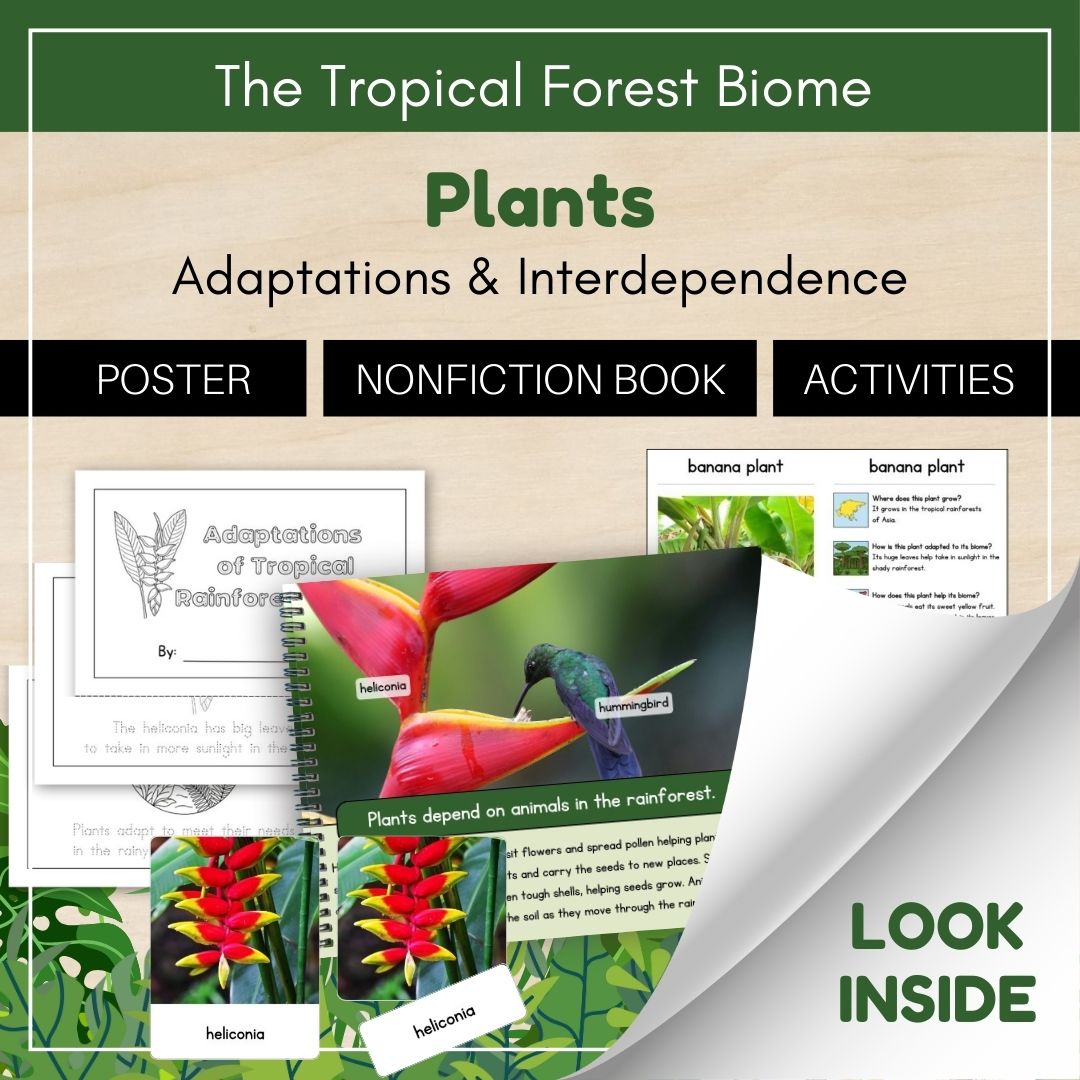 Thumbnails- Tropical Forest Biome Look Inside- Plants