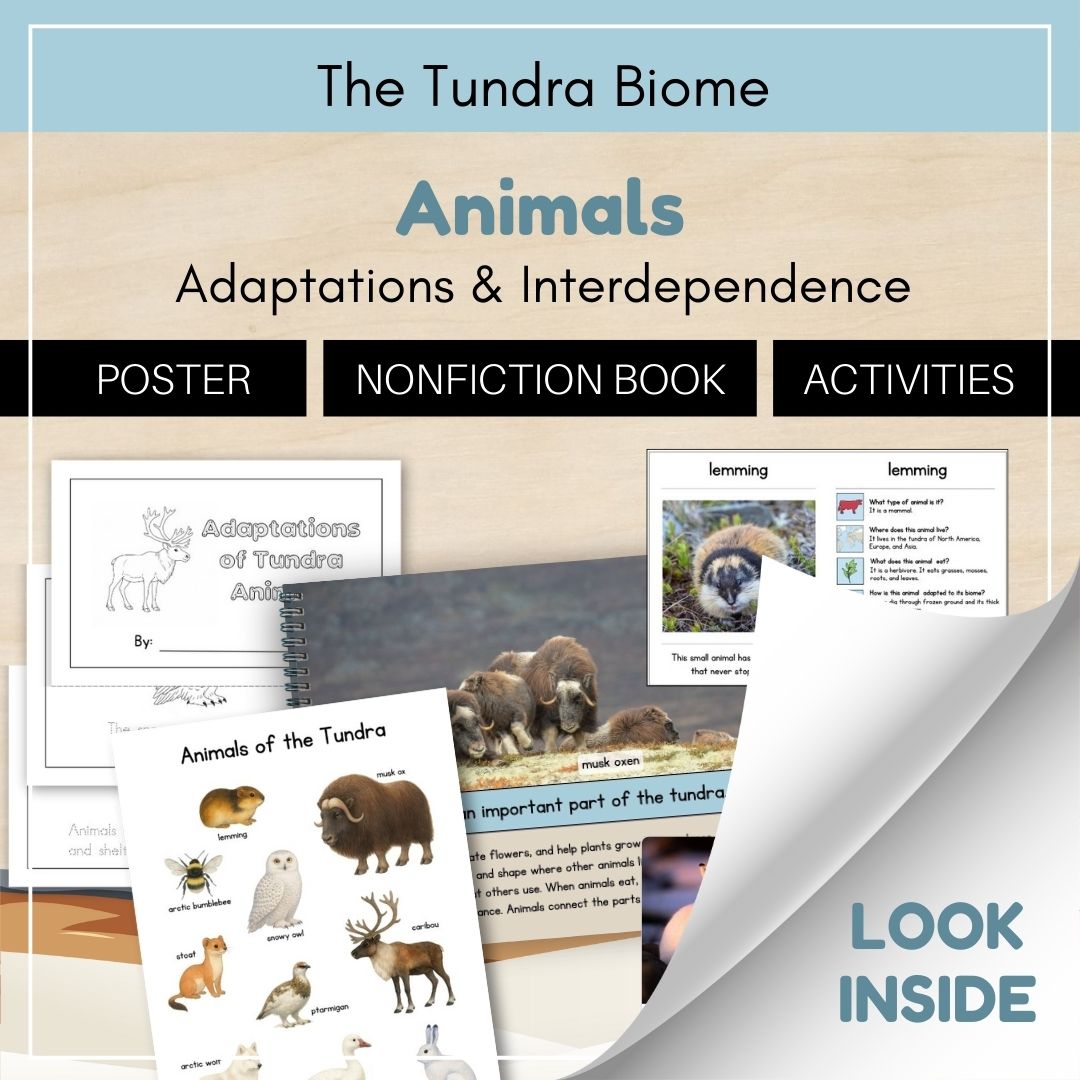 Thumbnails- Tundra Biome Look Inside- Animals