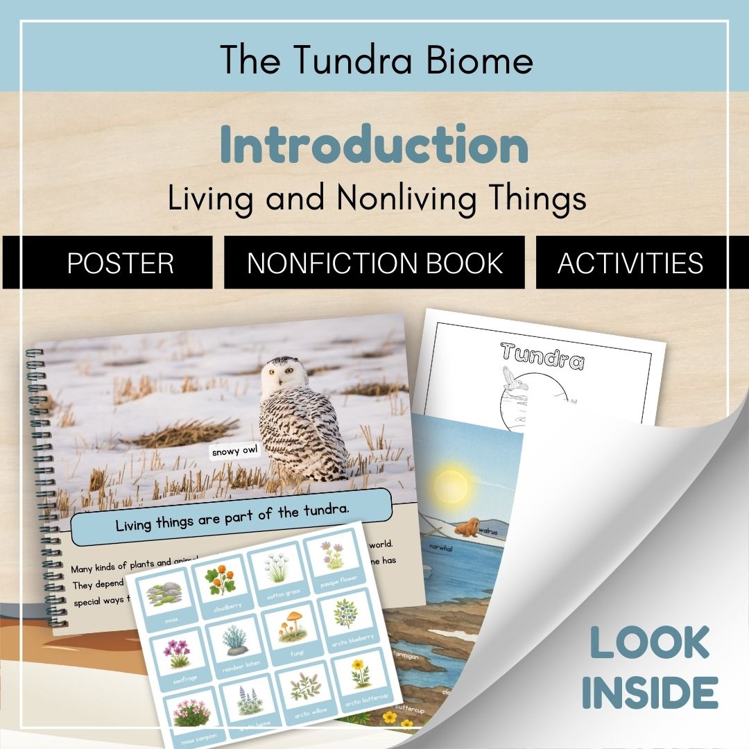 Thumbnails- Tundra Biome Look Inside- Introduction