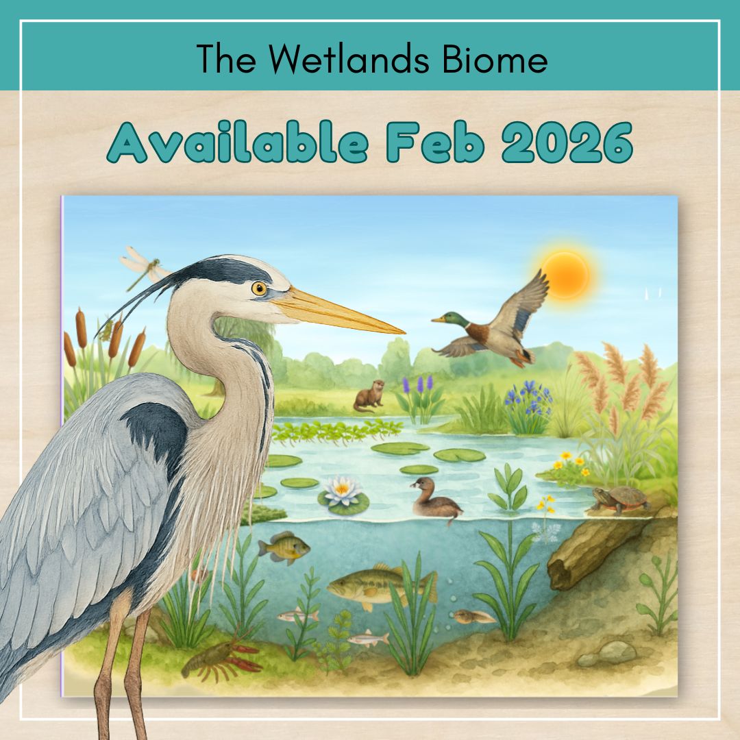 Thumbnails Wetlands Biome Placeholder
