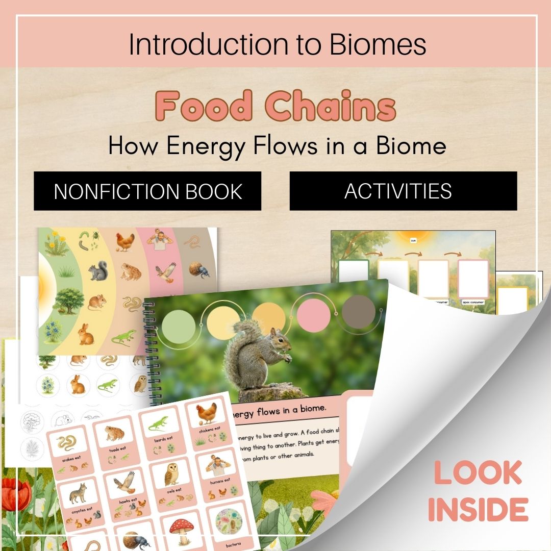 Thumbnails Intro to Food Chains Look Inside