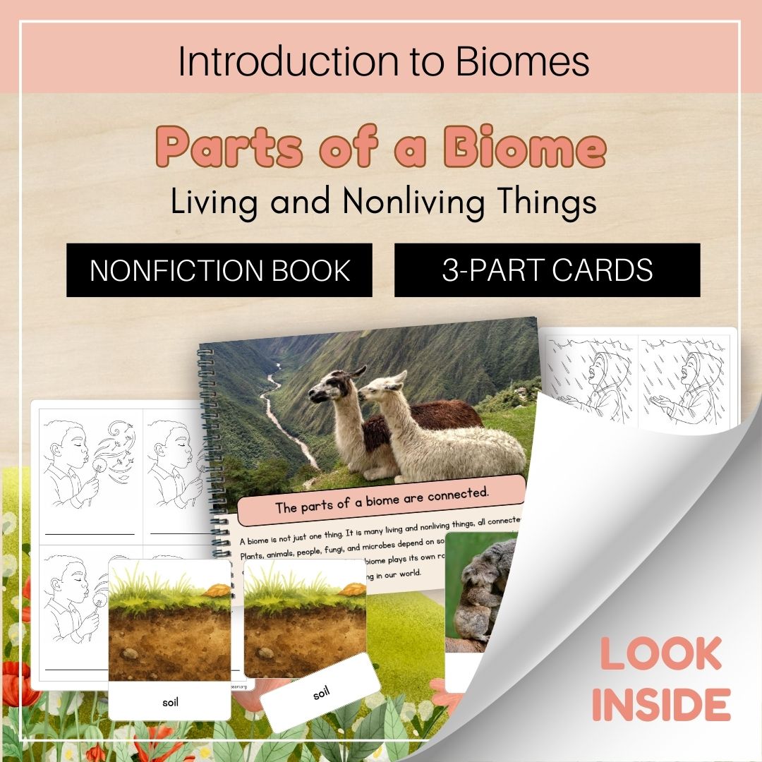 Thumbnails Parts of a Biome Look Inside