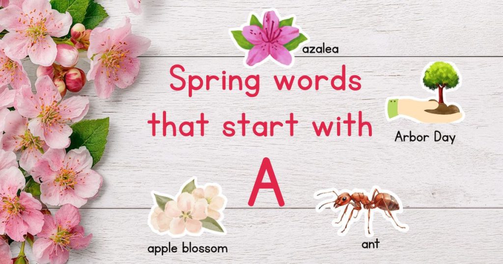 Spring Words that start with A