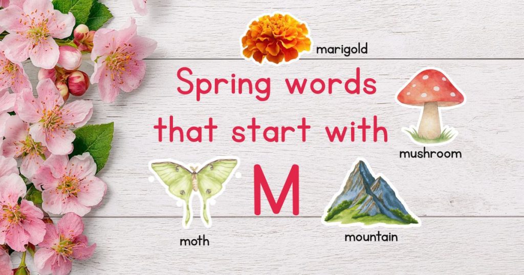 Spring words that start with M