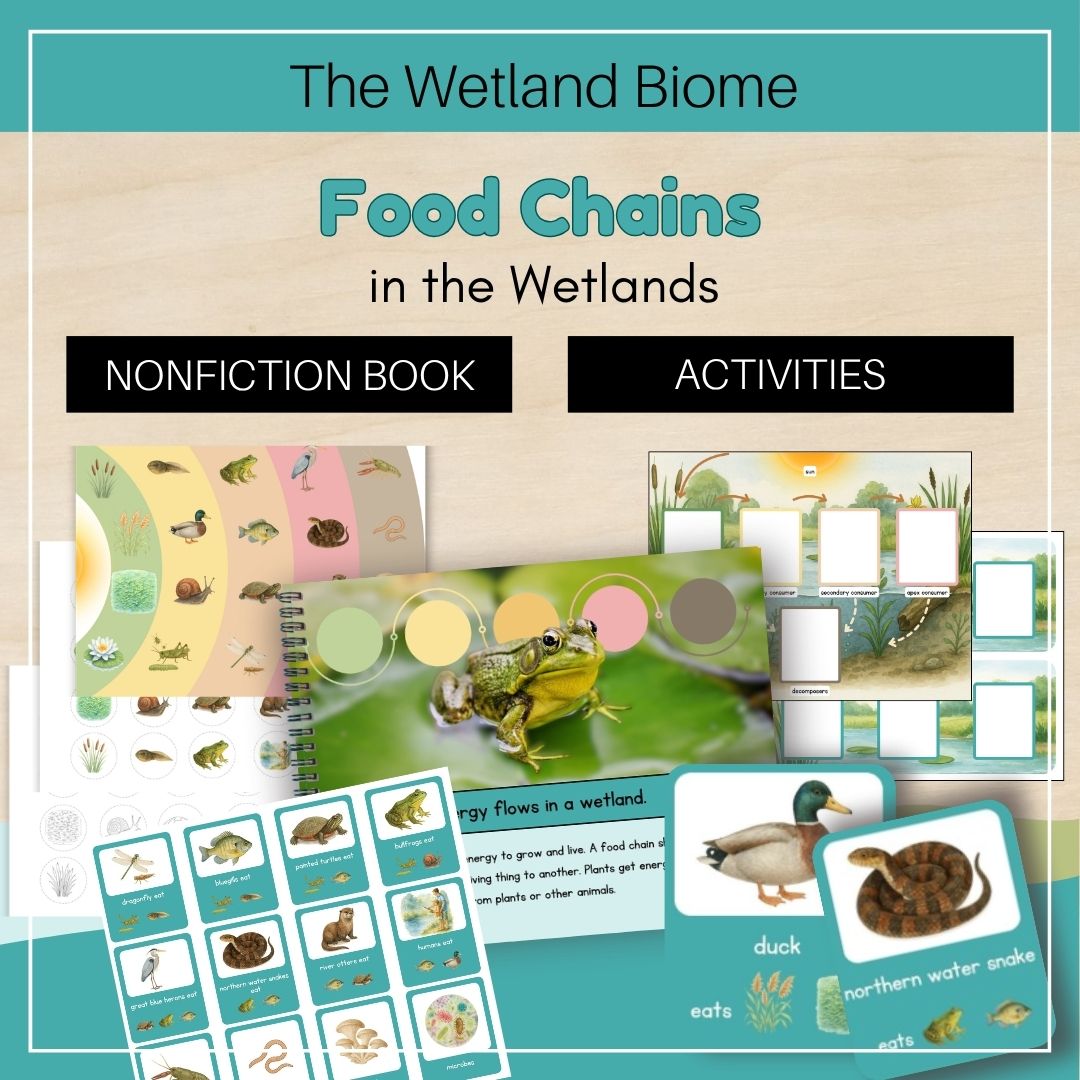 Thumbnails Food Chains Wetland Biome 1