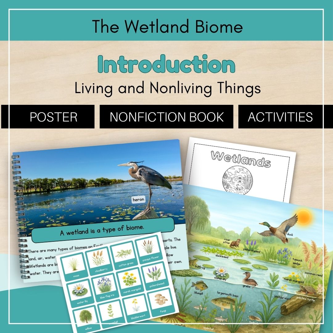The Wetland Biome Introduction shows living and nonliving things with teal and beige layout, blue water, and a heron and duck.