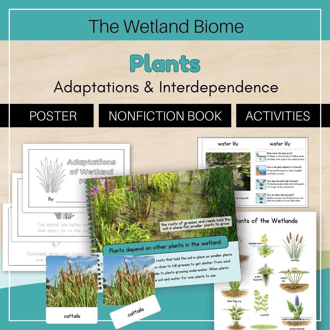 Thumbnails Plants Wetland Biome 1