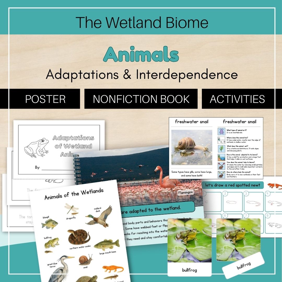 Thumbnails Wetland Animals Wetland Biome 1