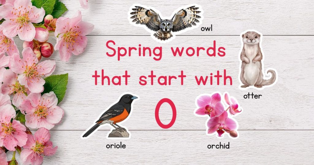 Spring words that start with O