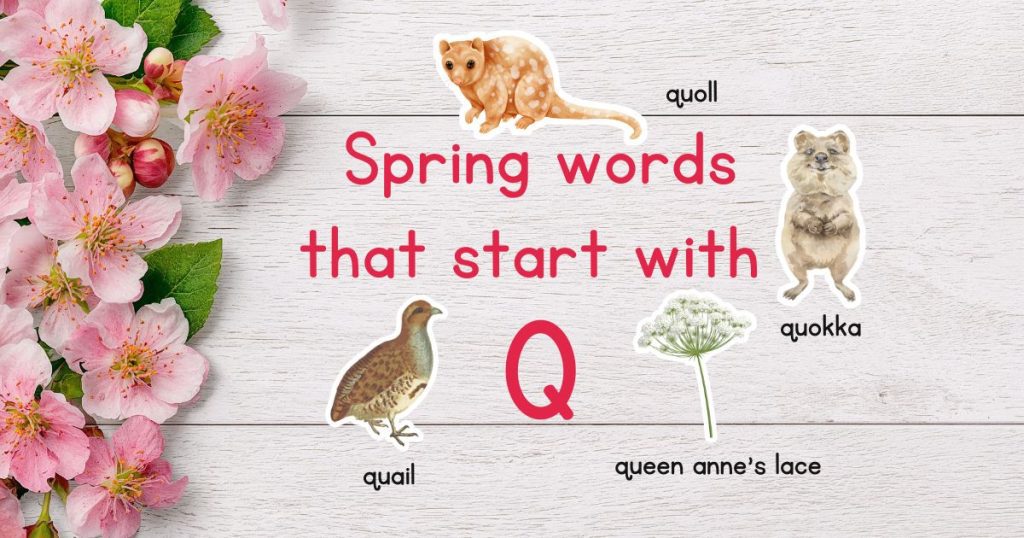 Spring Words that Start with Q