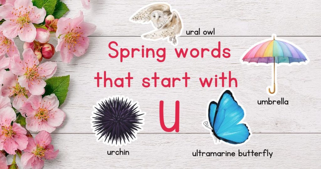 Spring Words that Start with U