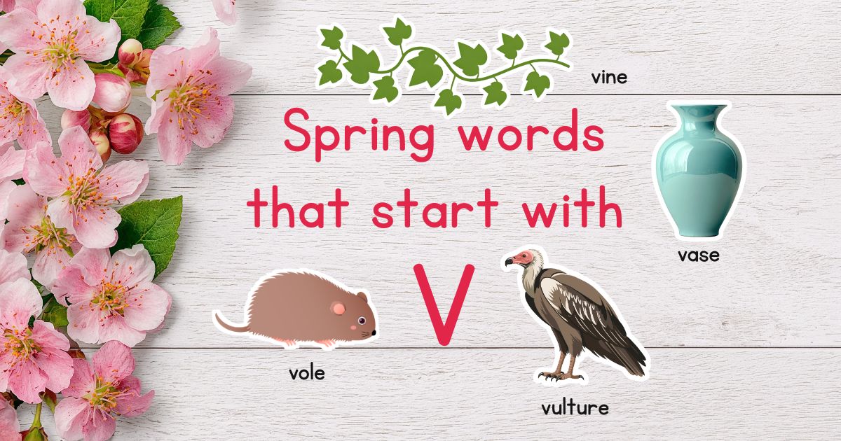 Spring Words that Start with V