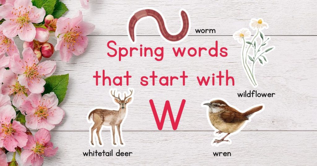 Spring Words that Start with W