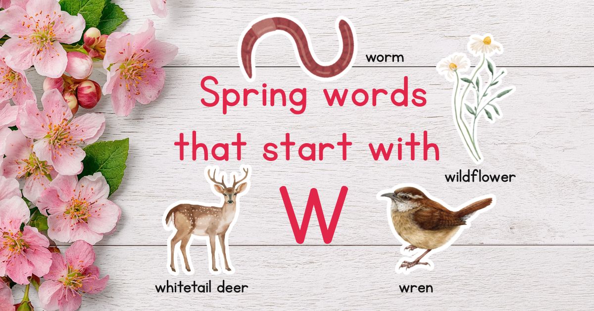 Spring Words that Start with W
