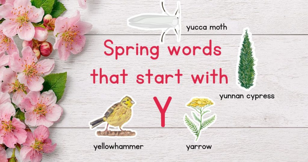 Spring Words that Start with Y