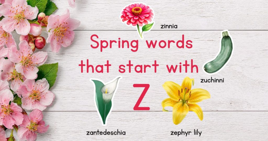 Spring Words that Start with Z