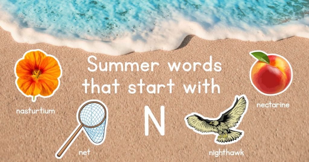 Summer Words that Start with N