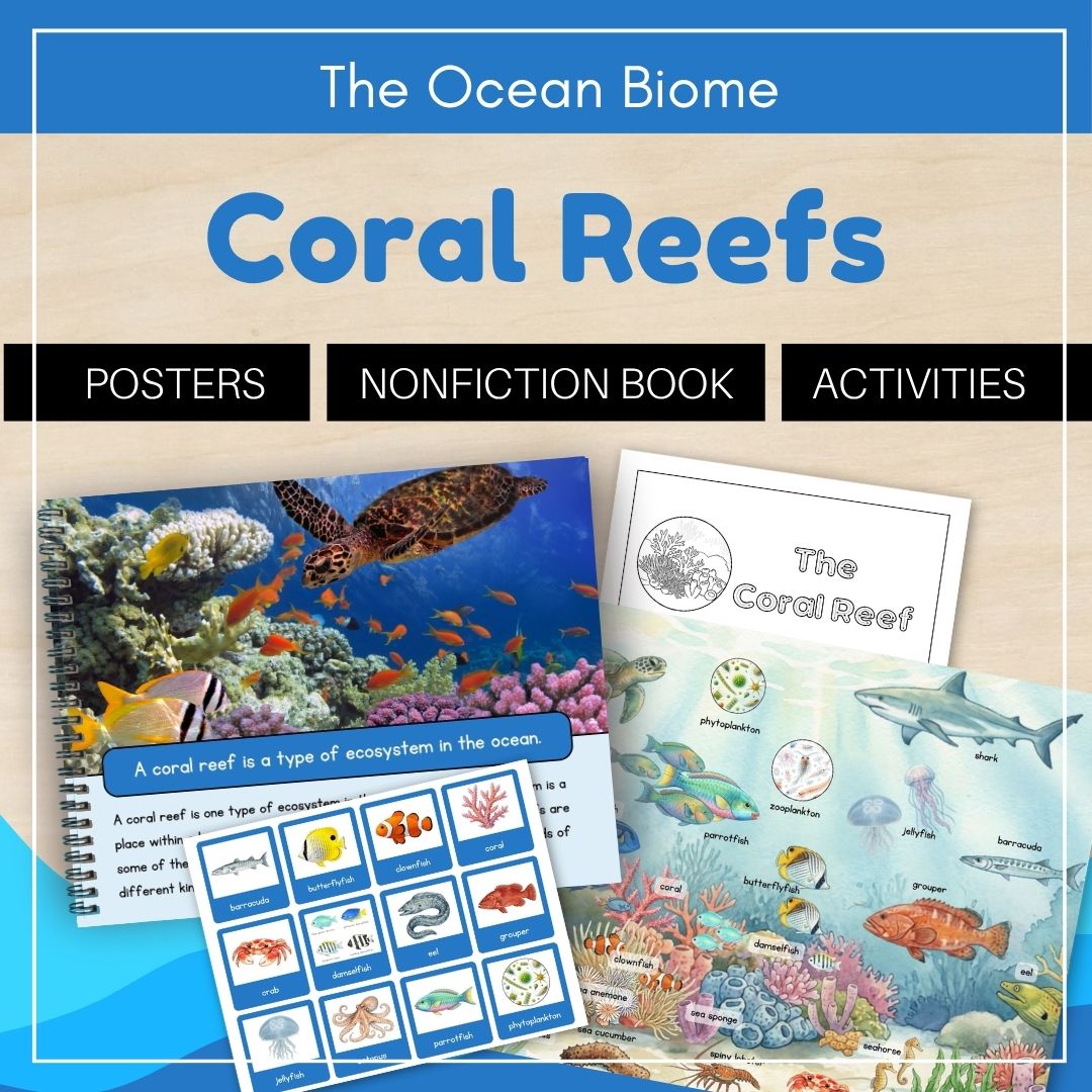 Set in the ocean biome, the Trillium Biomes Curriculum presents coral reefs with posters, a nonfiction book, and activity pages for children.