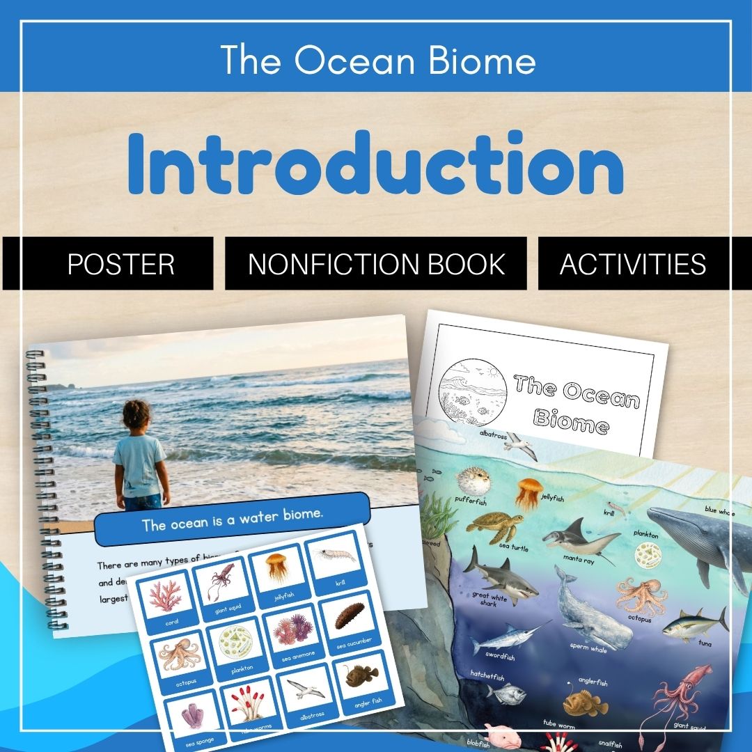 A Trillium Montessori Ocean Biome introduction shows a beach notebook, nonfiction book, and activity pages with ocean animals, labels, and cards.