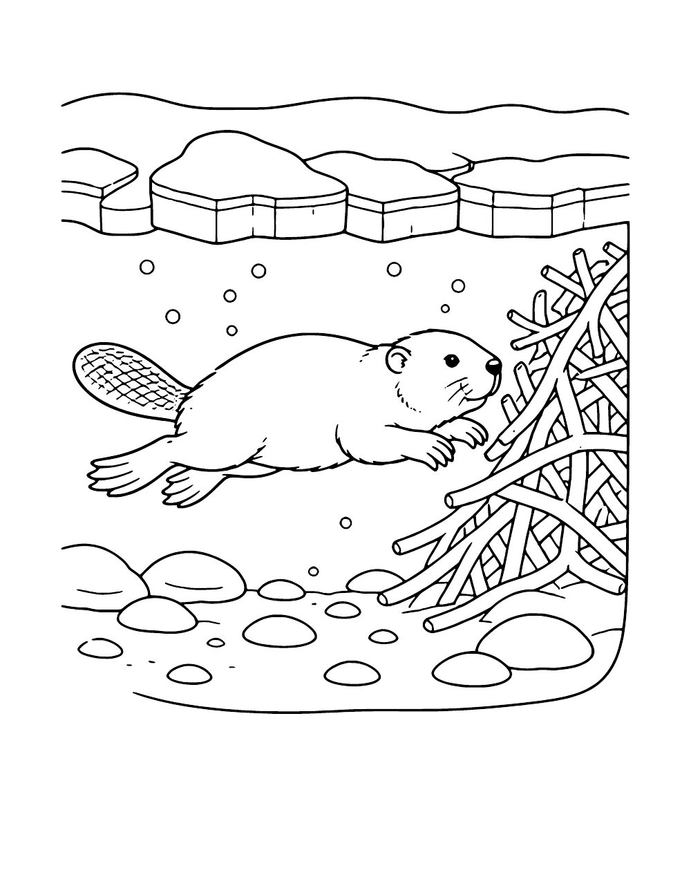 Beaver swimming beneath pond ice toward a stored pile of branches, coloring page