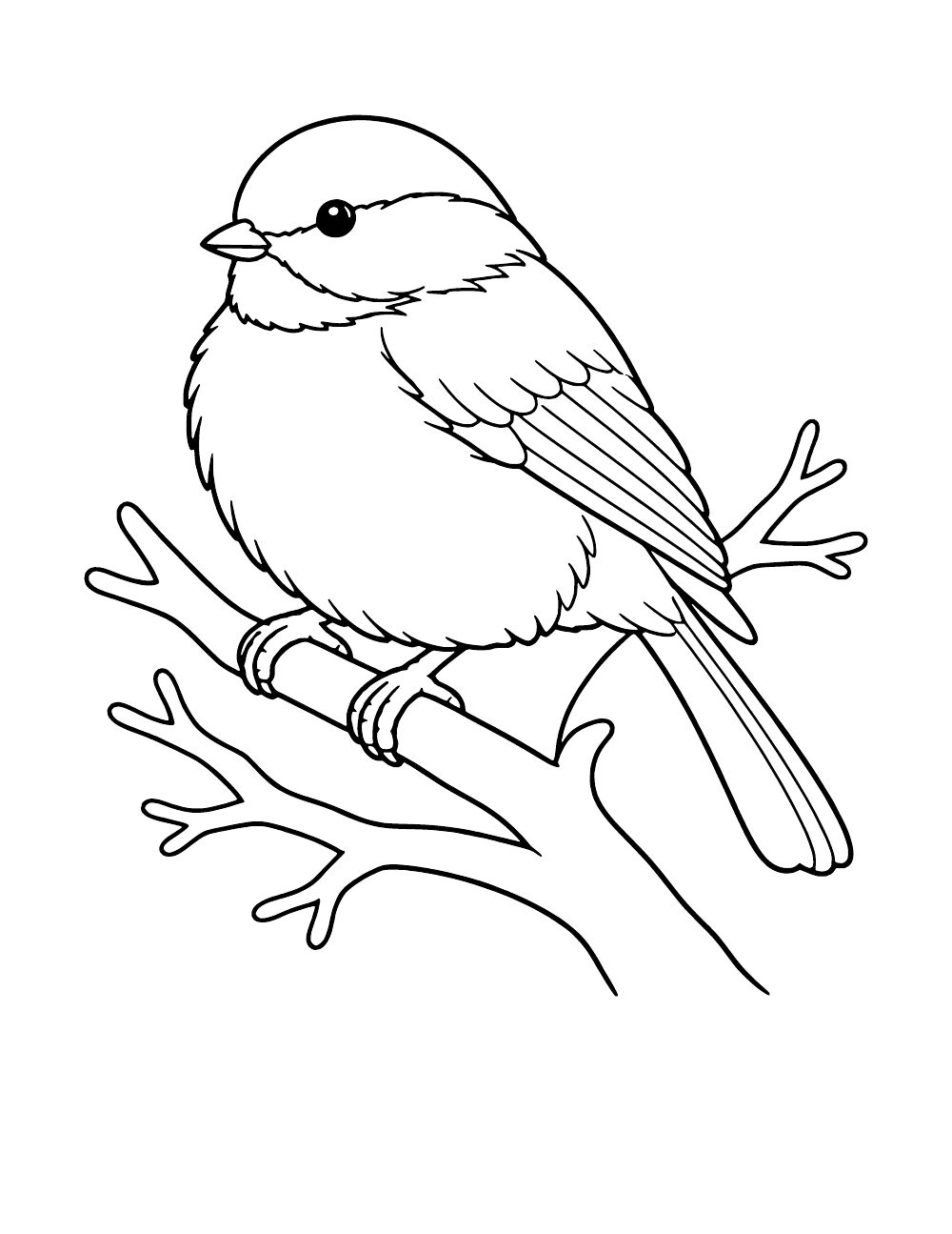 Black-capped chickadee with fluffed feathers perched on a bare branch, coloring page