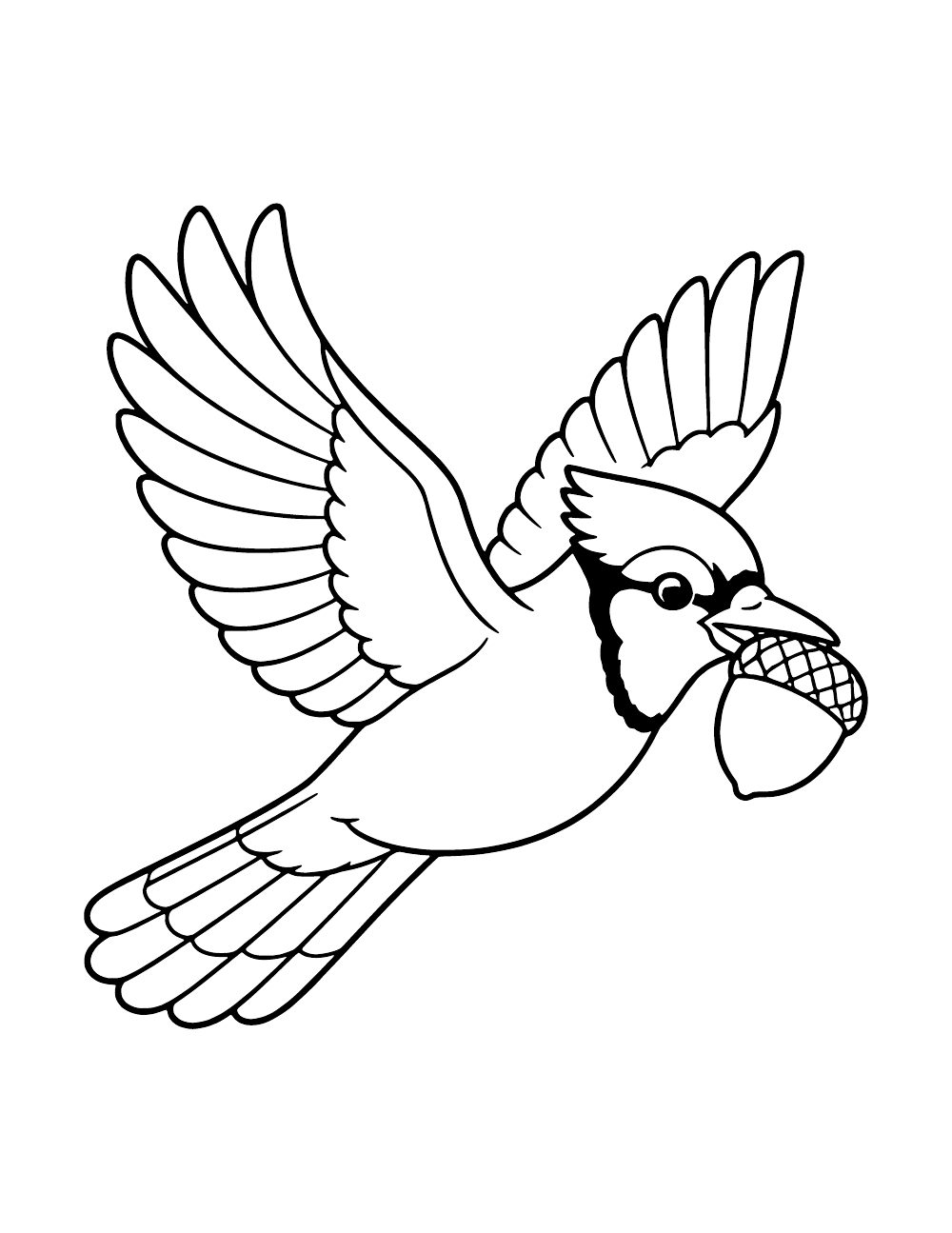 A blue jay in flight carrying an acorn in its beak.