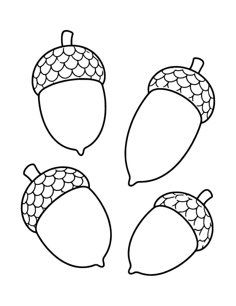 Four acorns with rounded and elongated bodies and patterned caps.