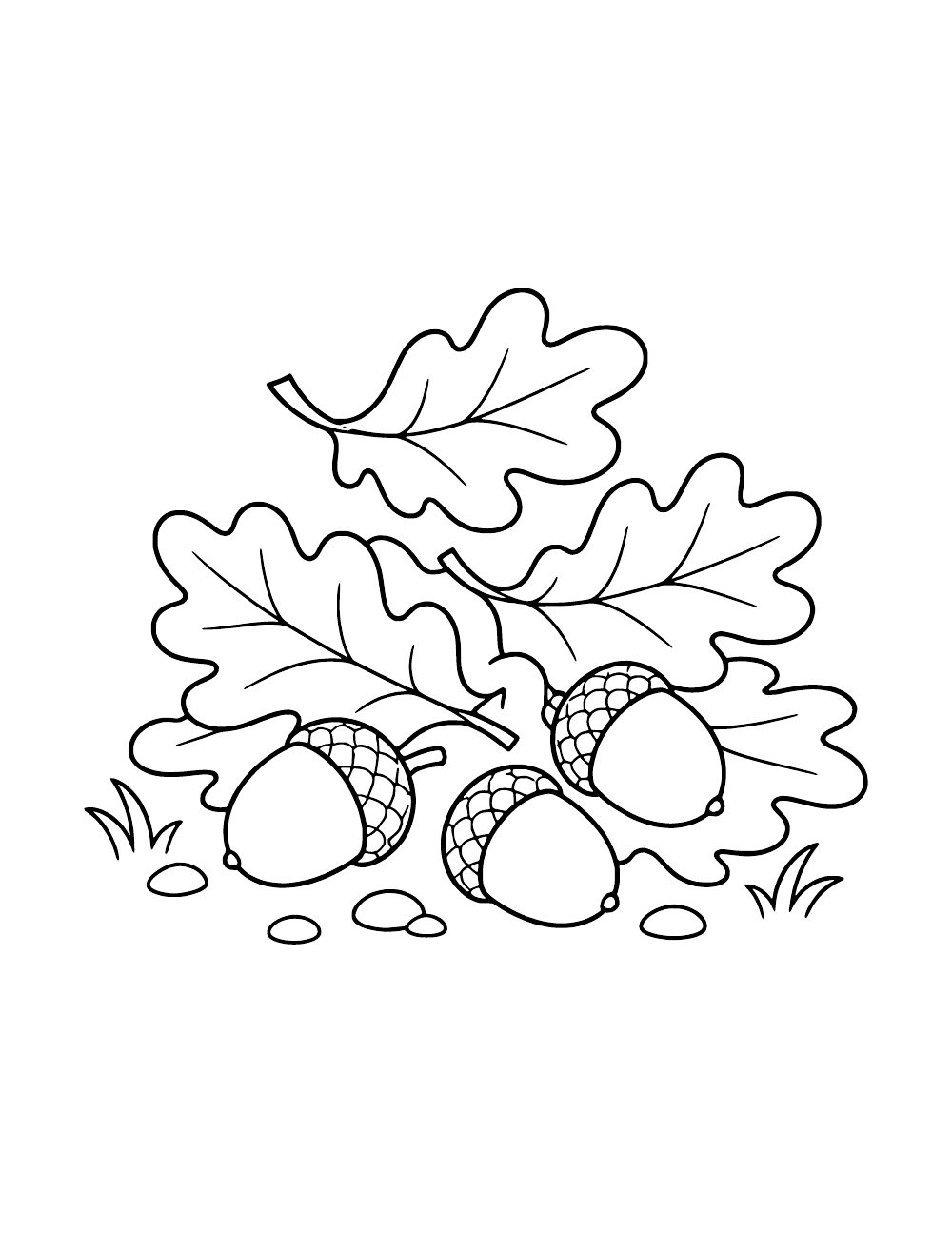 Acorns resting among fallen oak leaves.