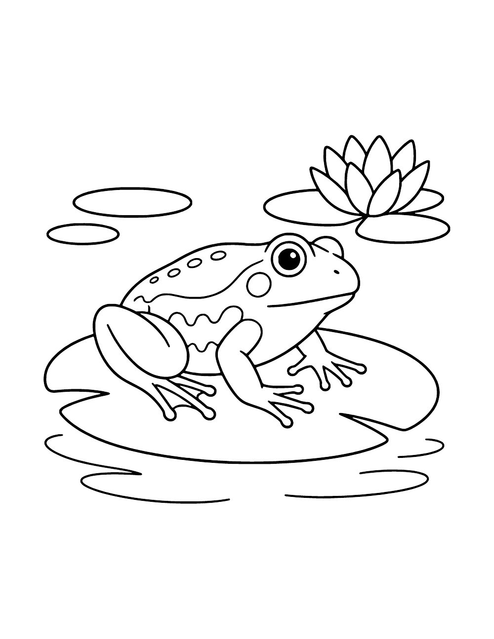 Frog sitting on a large lily pad, with water ripples, smaller pads and a water lily flower nearby.