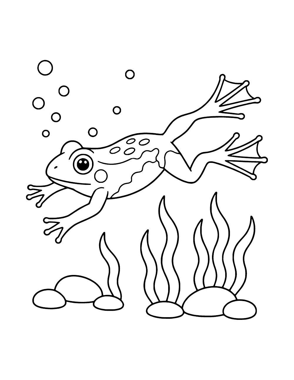 Underwater frog with extended hind legs and webbed feet above rocks and aquatic plants, with bubbles overhead.