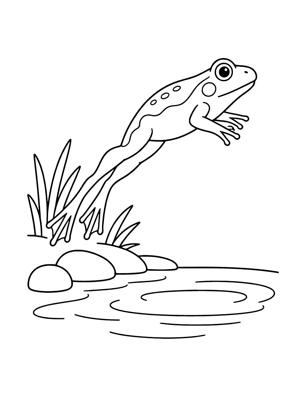 Frog leaping above a pond with its hind legs stretched back, beside shoreline rocks and grass.