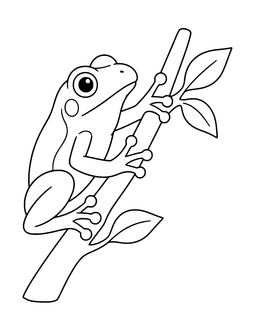 Frog gripping a slanted leafy branch with rounded pads at the ends of its toes.