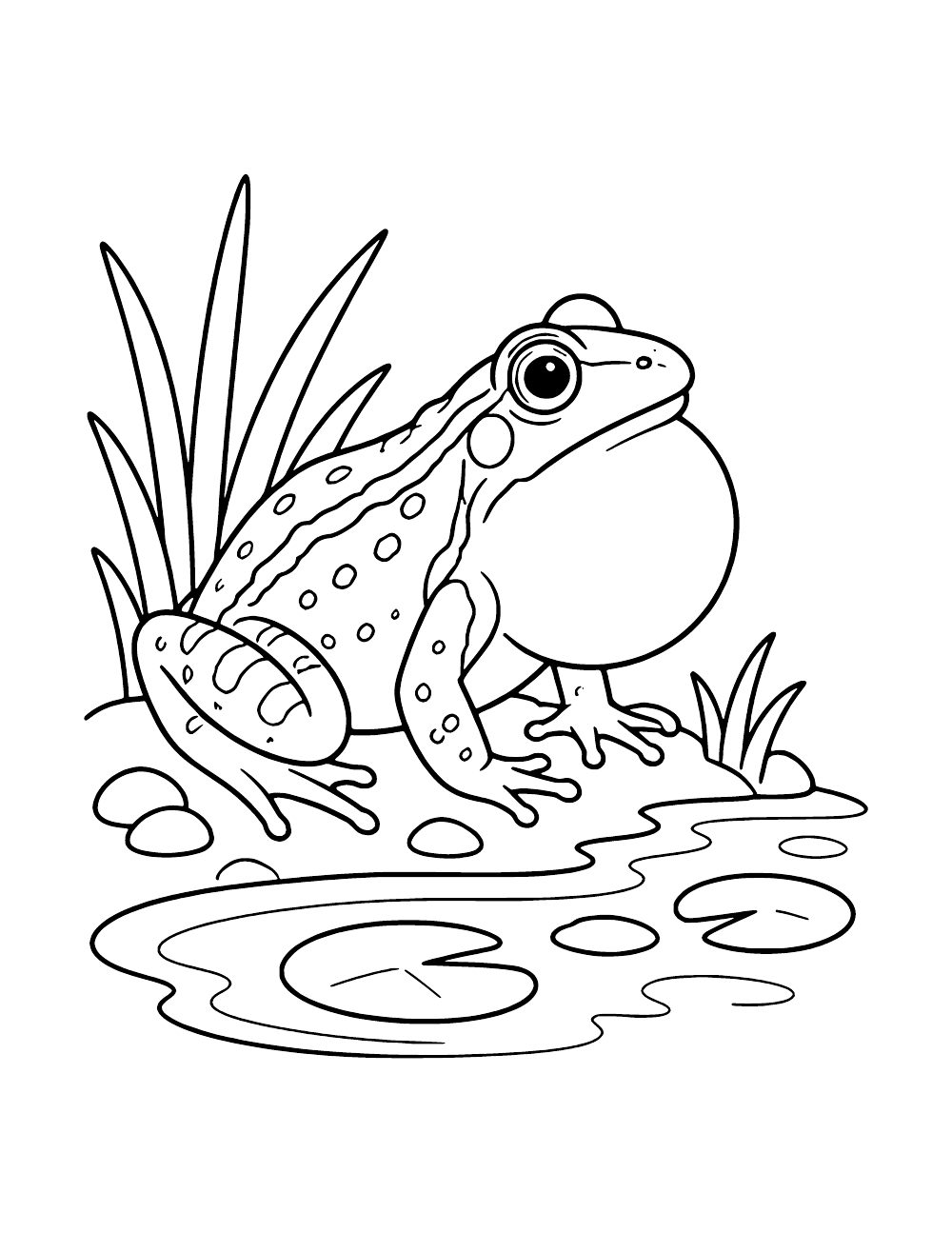 Color A Frog Frog Coloring Pages (15 Free PDF Printables)