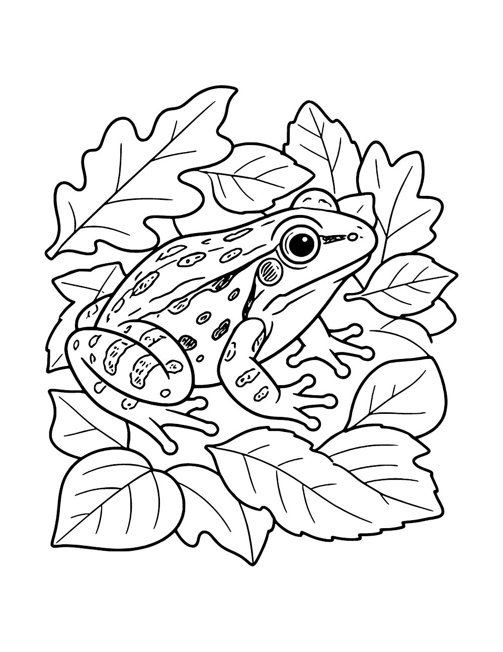 Spotted frog nestled among overlapping leaves of different shapes with visible veins.