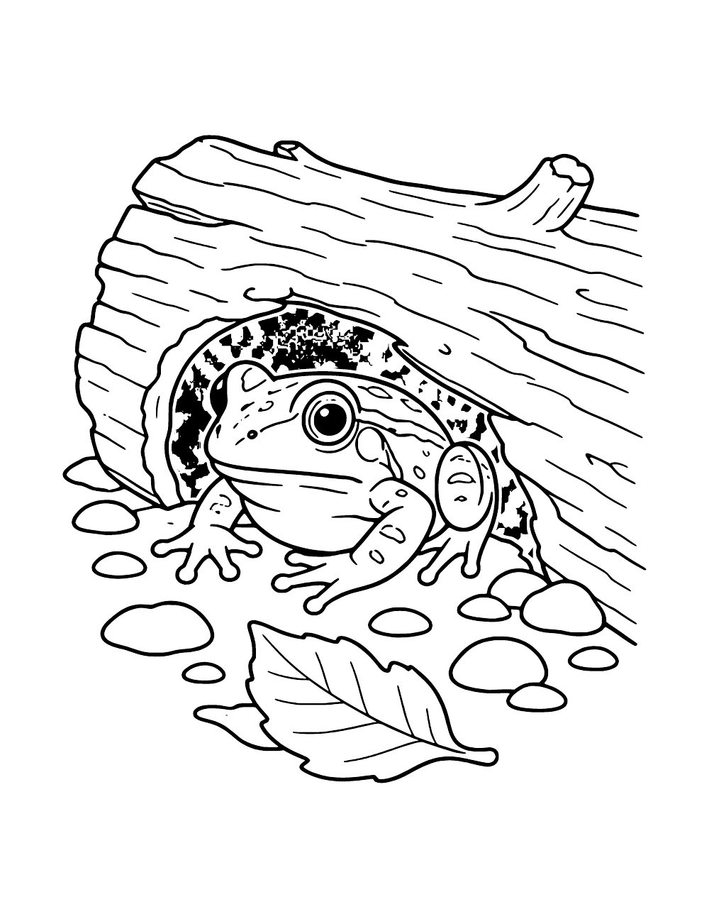 Frog sitting in an opening beneath a fallen log, surrounded by pebbles and a large fallen leaf.