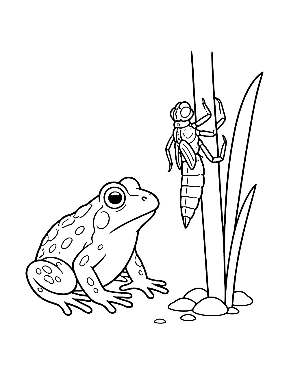 Color A Frog Frog Coloring Pages (15 Free PDF Printables)