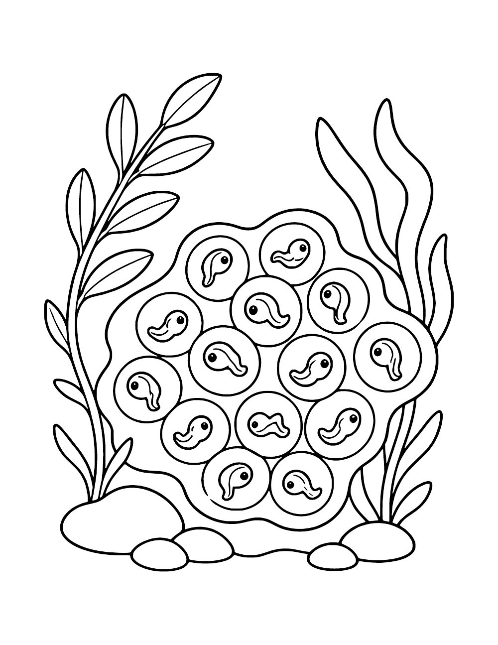 Cluster of round eggs containing curled developing frogs, surrounded by underwater plants and stones.