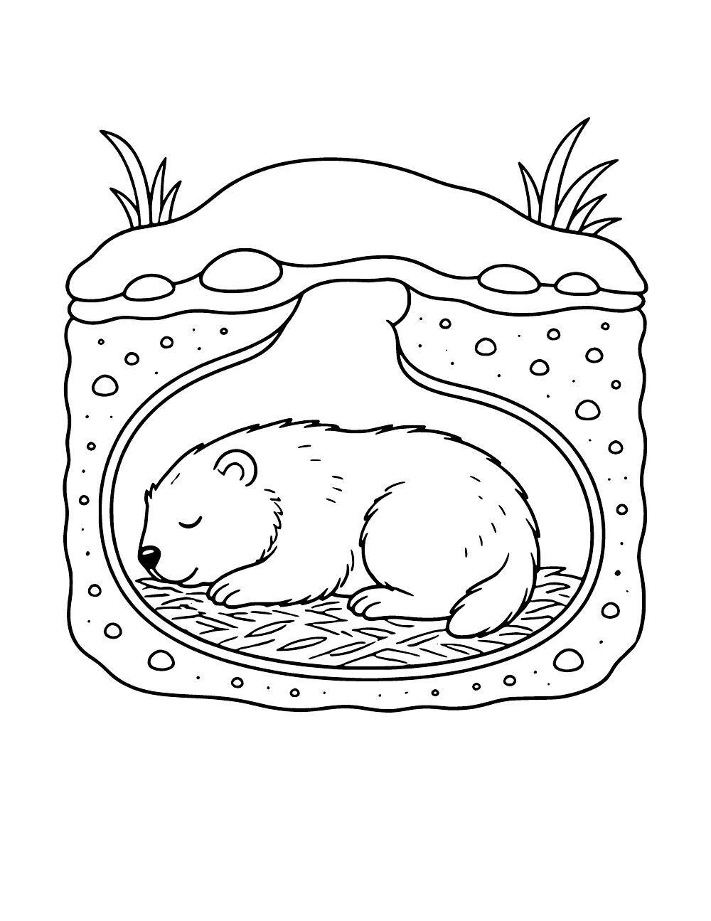 Groundhog curled up in a grass-lined underground winter burrow, coloring page