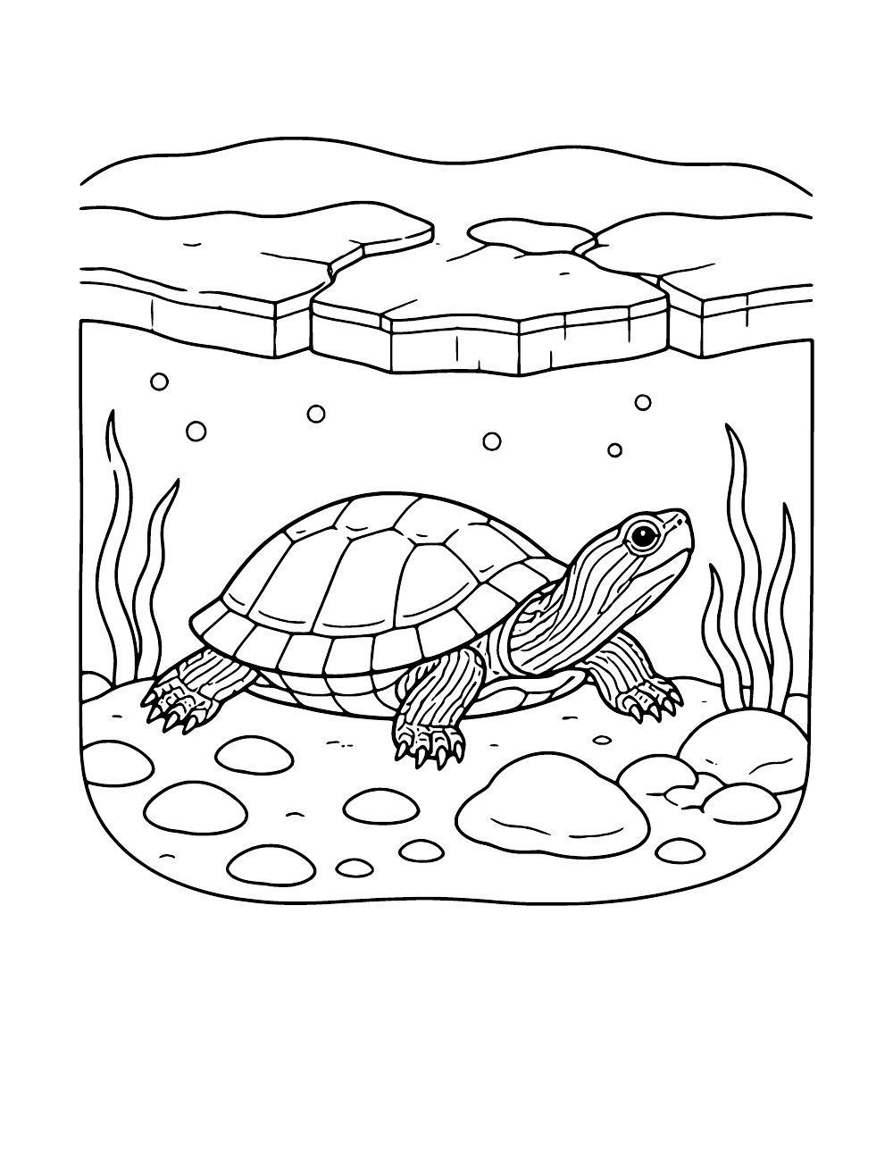 Painted turtle resting on the pond bottom beneath a layer of ice, coloring page