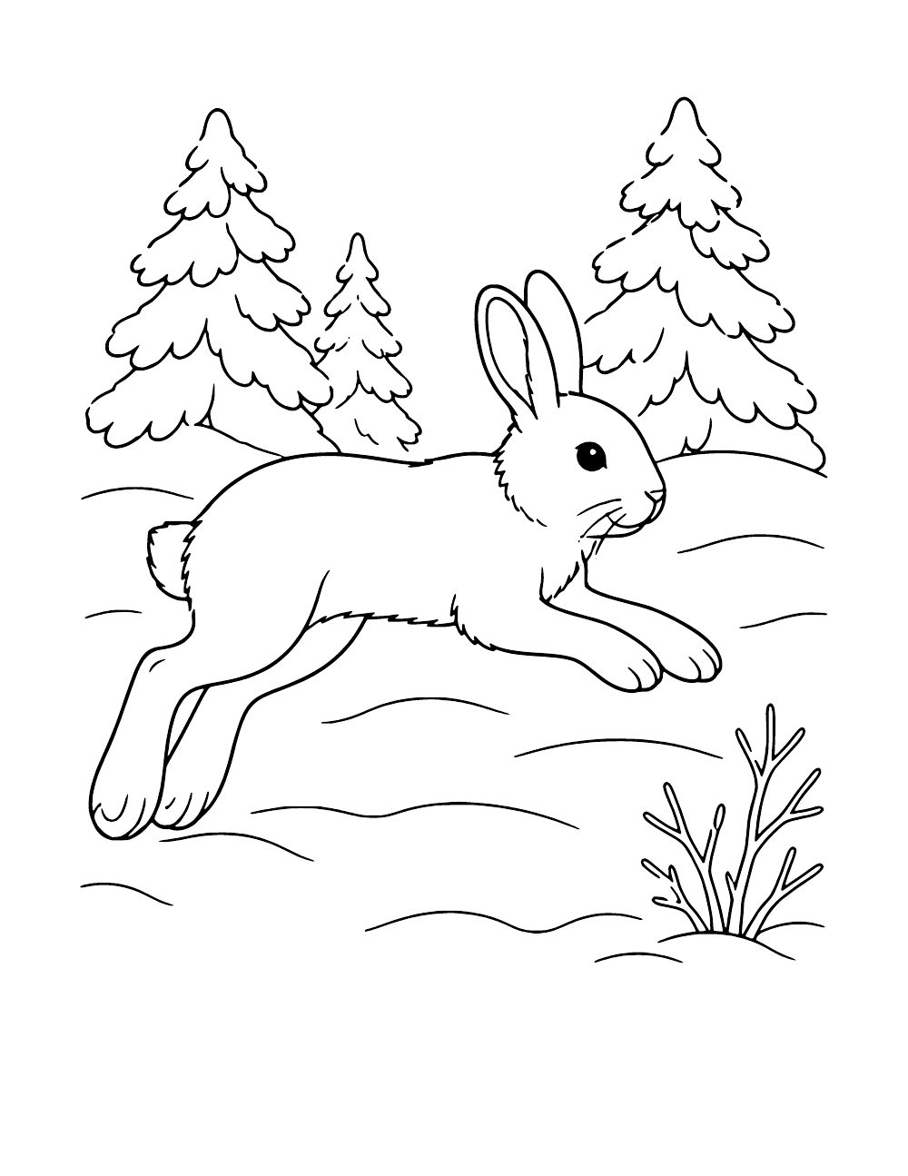 Snowshoe hare bounding across snow near evergreen trees, coloring page