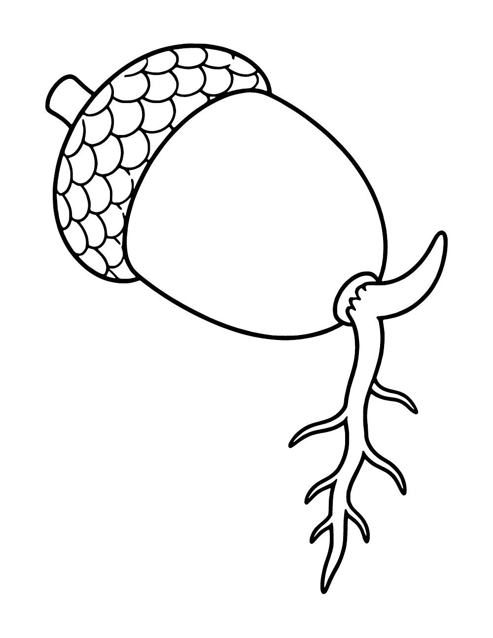 An acorn with an emerging root and smaller root branches.